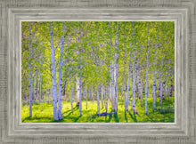 Load image into Gallery viewer, Early Morning Light in the Wasatch Backcountry