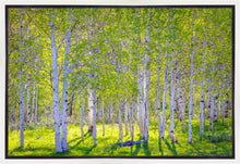 Load image into Gallery viewer, Early Morning Light in the Wasatch Backcountry