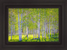 Load image into Gallery viewer, Early Morning Light in the Wasatch Backcountry