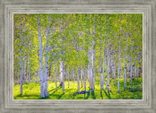 Load image into Gallery viewer, Early Morning Light in the Wasatch Backcountry