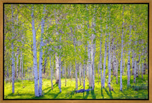 Load image into Gallery viewer, Early Morning Light in the Wasatch Backcountry
