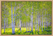 Load image into Gallery viewer, Early Morning Light in the Wasatch Backcountry