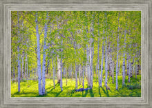 Load image into Gallery viewer, Early Morning Light in the Wasatch Backcountry