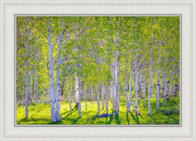 Load image into Gallery viewer, Early Morning Light in the Wasatch Backcountry