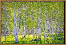 Load image into Gallery viewer, Early Morning Light in the Wasatch Backcountry