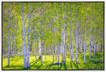Load image into Gallery viewer, Early Morning Light in the Wasatch Backcountry