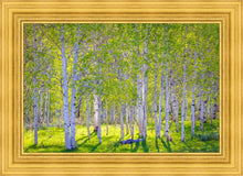 Load image into Gallery viewer, Early Morning Light in the Wasatch Backcountry