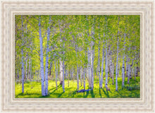 Load image into Gallery viewer, Early Morning Light in the Wasatch Backcountry