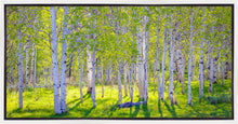 Load image into Gallery viewer, Early Morning Light in the Wasatch Backcountry