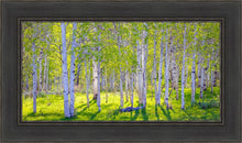 Load image into Gallery viewer, Early Morning Light in the Wasatch Backcountry