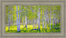 Load image into Gallery viewer, Early Morning Light in the Wasatch Backcountry