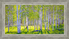Load image into Gallery viewer, Early Morning Light in the Wasatch Backcountry