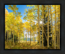 Load image into Gallery viewer, Autumn in the Rocky Mountains, Wasatch National Forest, Utah