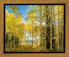 Load image into Gallery viewer, Autumn in the Rocky Mountains, Wasatch National Forest, Utah