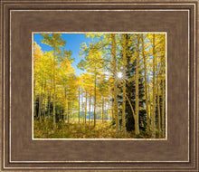 Load image into Gallery viewer, Autumn in the Rocky Mountains, Wasatch National Forest, Utah