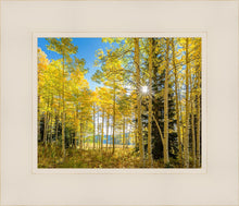 Load image into Gallery viewer, Autumn in the Rocky Mountains, Wasatch National Forest, Utah