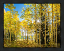 Load image into Gallery viewer, Autumn in the Rocky Mountains, Wasatch National Forest, Utah