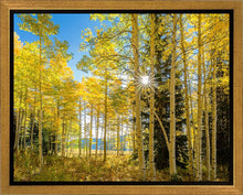 Load image into Gallery viewer, Autumn in the Rocky Mountains, Wasatch National Forest, Utah