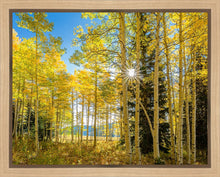 Load image into Gallery viewer, Autumn in the Rocky Mountains, Wasatch National Forest, Utah