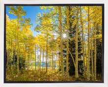 Load image into Gallery viewer, Autumn in the Rocky Mountains, Wasatch National Forest, Utah
