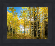 Load image into Gallery viewer, Autumn in the Rocky Mountains, Wasatch National Forest, Utah