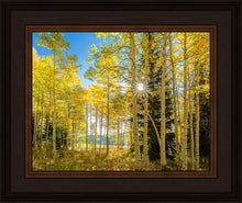 Load image into Gallery viewer, Autumn in the Rocky Mountains, Wasatch National Forest, Utah