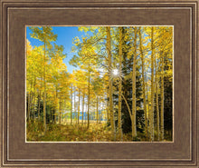Load image into Gallery viewer, Autumn in the Rocky Mountains, Wasatch National Forest, Utah