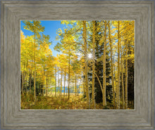 Load image into Gallery viewer, Autumn in the Rocky Mountains, Wasatch National Forest, Utah