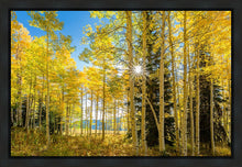 Load image into Gallery viewer, Autumn in the Rocky Mountains, Wasatch National Forest, Utah