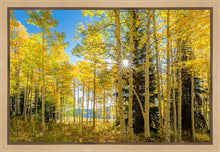 Load image into Gallery viewer, Autumn in the Rocky Mountains, Wasatch National Forest, Utah