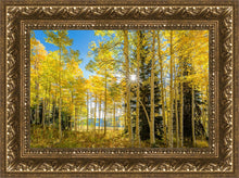 Load image into Gallery viewer, Autumn in the Rocky Mountains, Wasatch National Forest, Utah