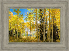 Load image into Gallery viewer, Autumn in the Rocky Mountains, Wasatch National Forest, Utah