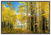 Load image into Gallery viewer, Autumn in the Rocky Mountains, Wasatch National Forest, Utah