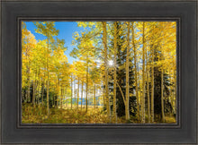 Load image into Gallery viewer, Autumn in the Rocky Mountains, Wasatch National Forest, Utah