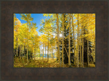 Load image into Gallery viewer, Autumn in the Rocky Mountains, Wasatch National Forest, Utah