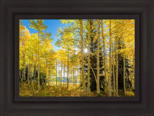 Load image into Gallery viewer, Autumn in the Rocky Mountains, Wasatch National Forest, Utah