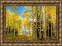 Load image into Gallery viewer, Autumn in the Rocky Mountains, Wasatch National Forest, Utah