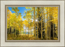 Load image into Gallery viewer, Autumn in the Rocky Mountains, Wasatch National Forest, Utah