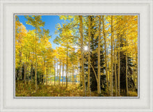 Load image into Gallery viewer, Autumn in the Rocky Mountains, Wasatch National Forest, Utah