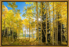 Load image into Gallery viewer, Autumn in the Rocky Mountains, Wasatch National Forest, Utah