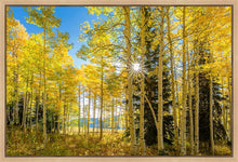 Load image into Gallery viewer, Autumn in the Rocky Mountains, Wasatch National Forest, Utah