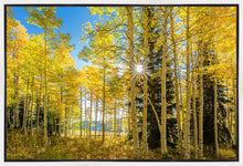 Load image into Gallery viewer, Autumn in the Rocky Mountains, Wasatch National Forest, Utah
