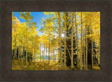 Load image into Gallery viewer, Autumn in the Rocky Mountains, Wasatch National Forest, Utah