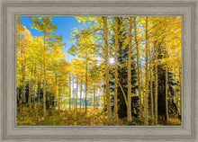 Load image into Gallery viewer, Autumn in the Rocky Mountains, Wasatch National Forest, Utah