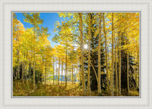 Load image into Gallery viewer, Autumn in the Rocky Mountains, Wasatch National Forest, Utah