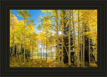 Load image into Gallery viewer, Autumn in the Rocky Mountains, Wasatch National Forest, Utah