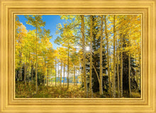 Load image into Gallery viewer, Autumn in the Rocky Mountains, Wasatch National Forest, Utah