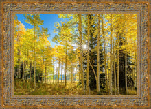 Load image into Gallery viewer, Autumn in the Rocky Mountains, Wasatch National Forest, Utah