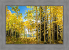 Load image into Gallery viewer, Autumn in the Rocky Mountains, Wasatch National Forest, Utah