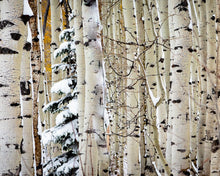 Load image into Gallery viewer, Christmas Around the Corner, Guardsman Pass, Park City, Utah